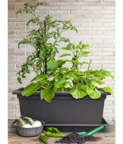 Magnus Kunststoff-Blumenkasten, Rechteckig. Ca. B98/H37/T38 Cm -Wurzel Herz Verkaufsgeschäft 6997449 WE MO 003 MagnusKunststoffBlumenkastenschwarz