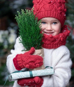 Scheinzypresse 'Snow White' -Wurzel Herz Verkaufsgeschäft 7109762 WE MO 001 ScheinzypresseSnowWhite