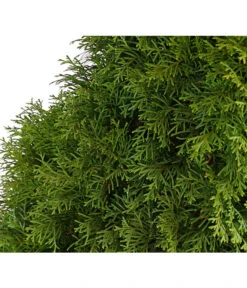 31 Meter Lebensbaum 'Smaragd', 125 X Ca. 40-60 Cm 9 31 Meter Lebensbaum 'Smaragd', 125 X Ca. 40-60 Cm -Wurzel Herz Verkaufsgeschäft 7513534 WE DE 001 ThujaLebensbaumOccidentalisSmaragd20LDehnerExpressHerzig