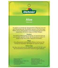 Echte Aloe-Set - Aloe Vera -Wurzel Herz Verkaufsgeschäft 7976202 AloeVeraEtikett2