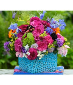 Beetrose 'Kaffe Fassett®' -Wurzel Herz Verkaufsgeschäft 7988181 PR DE 004 EdelroseKaffeFassettTantau