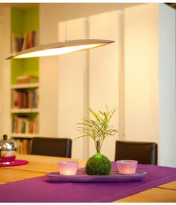 Kibonu Wunderstrauch - Codiaeum Variegatum 'Soley' -Wurzel Herz Verkaufsgeschäft 8294910 PR MO 001 KibonuSoleyAufEsstischHerstellerbild