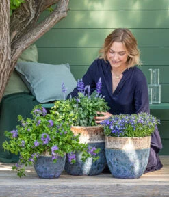 Dehner Keramik-Topf Mystras, Rund, Blau-braun -Wurzel Herz Verkaufsgeschäft 8811143 WE MO 001 BlaueMauritius