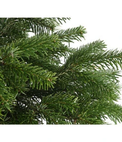 Nordmann-Tanne, Ca. 60-80 Cm, Im Topf Gewachsen 7 Nordmann-Tanne, Ca. 60-80 Cm, Im Topf Gewachsen -Wurzel Herz Verkaufsgeschäft 8995763 WE DE 003 AbiesNordmannianaNordmanntanne60 80DehnerExpressHerzig