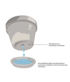 Ecopots Kunststoff-Topf Frankfurt, Rund 10 Ecopots Kunststoff-Topf Frankfurt, Rund -Wurzel Herz Verkaufsgeschäft WE IG 001 TopfMitBodenloch 4