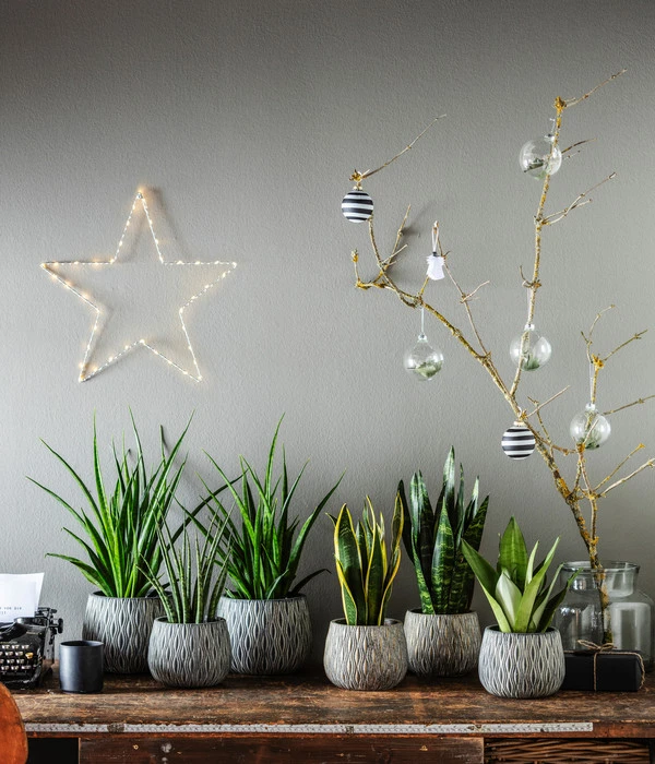 Wurzel Herz Verkaufsgeschäft 20 Wurzel Herz Verkaufsgeschäft -Wurzel Herz Verkaufsgeschäft 1