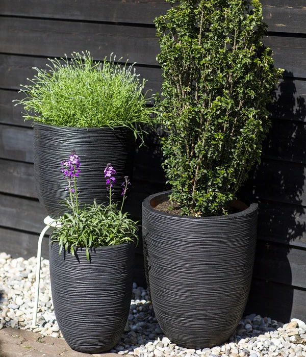 Wurzel Herz Verkaufsgeschäft -Wurzel Herz Verkaufsgeschäft 6697304 WE MO 001 CapiEuropeKunststoffTopfRibrund